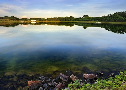 bedok reservoir