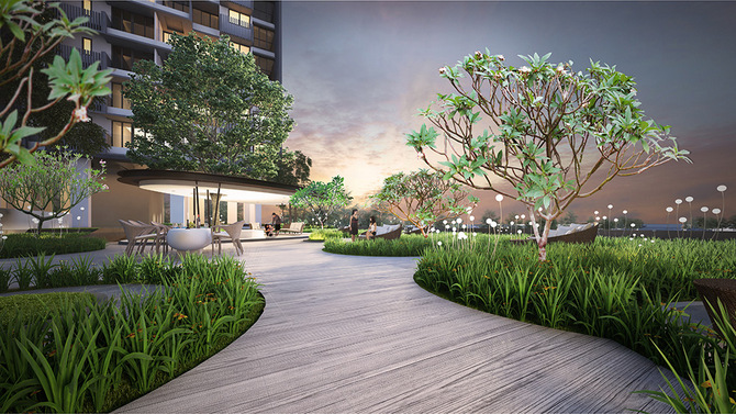 trilive dining cove